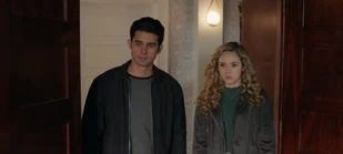 STG306g 0038r f.jpg (142 KB)