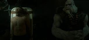 313 SC (9).jpg (68 KB)