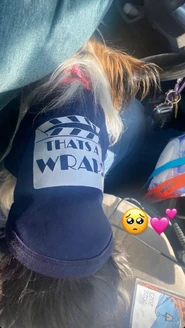 S3 BTS79.jpg (433 KB)