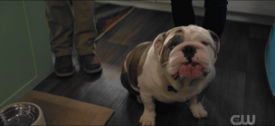 201 SC31.png (1.45 MB)