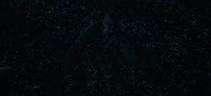 313 SC (27).jpg (109 KB)