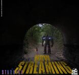 Stars and Stripes Now Streaming on DC Universe Poster.jpg (51 KB)