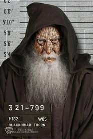 201 Blackbriar Thorn Mugshot-Stargirl Aftershow.jpg (585 KB)