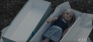 201 SC11.jpg (132 KB)