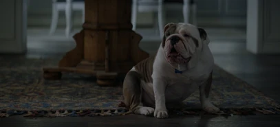 210 SC (41).jpg (75 KB)