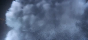 313 SC (142).jpg (58 KB)