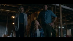 111 SC135.png (873 KB)