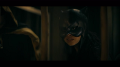 110 SC257.png (276 KB)