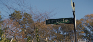 203 SC25.png (1.72 MB)