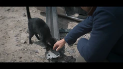 104 SC176.png (974 KB)