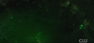 202 SC121.png (1.91 MB)