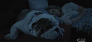 202 SC35.png (1.34 MB)