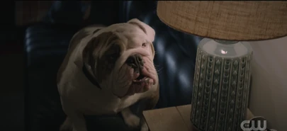 205 SC22.png (1.56 MB)