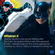 STG Page to Screen Wildcat.jpg (1.07 MB)