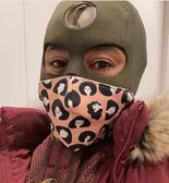 S2 BTS214.jpg (122 KB)