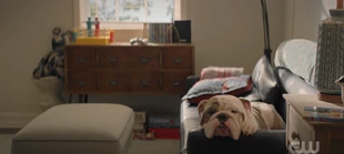 203 SC36.png (1.33 MB)