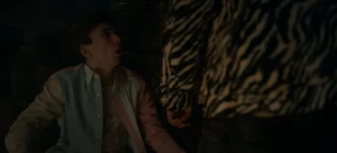 313 SC (84).jpg (65 KB)