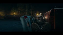 102 Brainwave Throws STRIPE.jpg (85 KB)