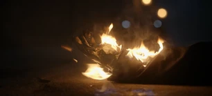 313 SC (217).jpg (69 KB)