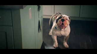 103 SC102.png (1.04 MB)