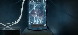 313 SC (167).jpg (117 KB)