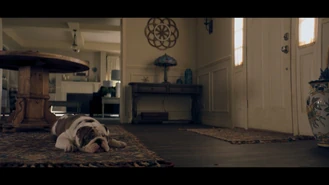 107 SC9.png (924 KB)