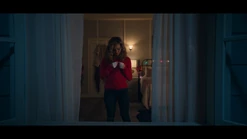 110 SC33.png (711 KB)