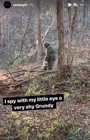 211 BTS16.jpg (180 KB)