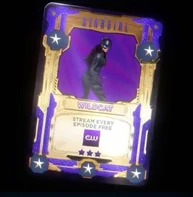 Wildcat Stargirl Trading Card.jpg (49 KB)