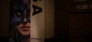 313 SC (229).jpg (72 KB)