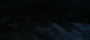 313 SC (11).jpg (64 KB)