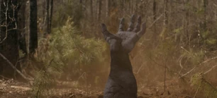 313 SC (187).jpg (109 KB)