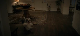 313 SC (190).jpg (80 KB)