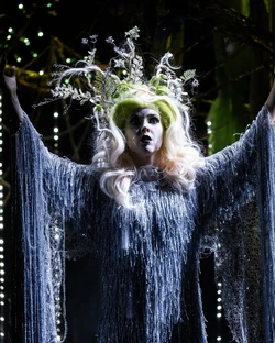 Click here to view the image gallery for The Fairy Queen of Sweet Dreams.