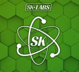 SK Labs