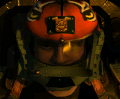 SL 45th Tigers Helmet.png