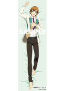 Dakimakura Cover