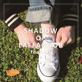 Laffandor step cover