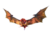 Vampire Bat.