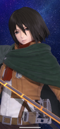 Mikasa model face view.