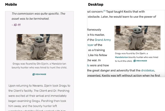 Preview of the View Image link under image and caption