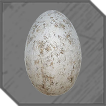 Crocodile Egg | Starsand Wiki | Fandom