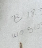 B18.3 label