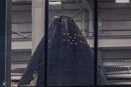 S35 Nosecone in Starfactory
