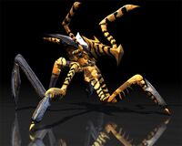 arachnid starship troopers