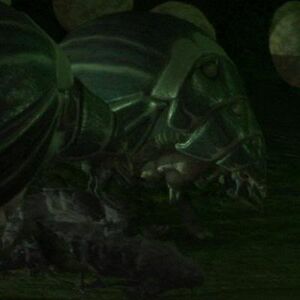 ArachnidNurser.jpg
