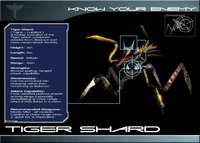 STGame 2024-07-07 12-39-51-715