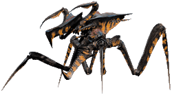 Arachnid Warrior  Warrior Bug from Starship Troopers Fun fa