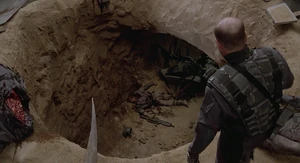 The Bug Hole beneath the Whiskey Outpost