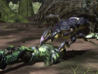 Jungle Spider, smaller version